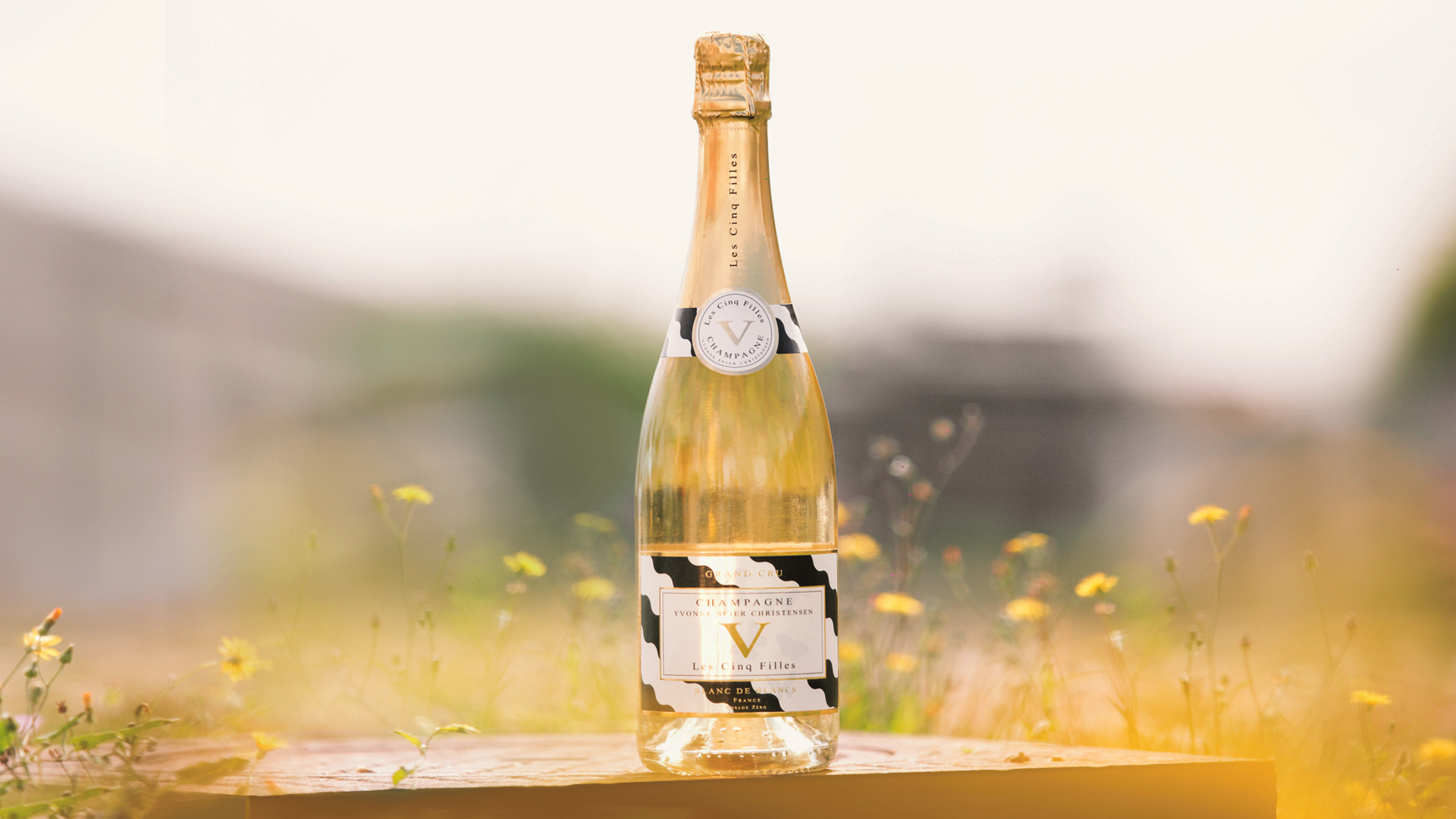Champagne Les Cinq Filles - Cuvee Life YSC