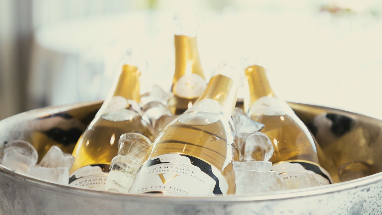 Champagne Les Cinq Filles Cuvee - Life YSC